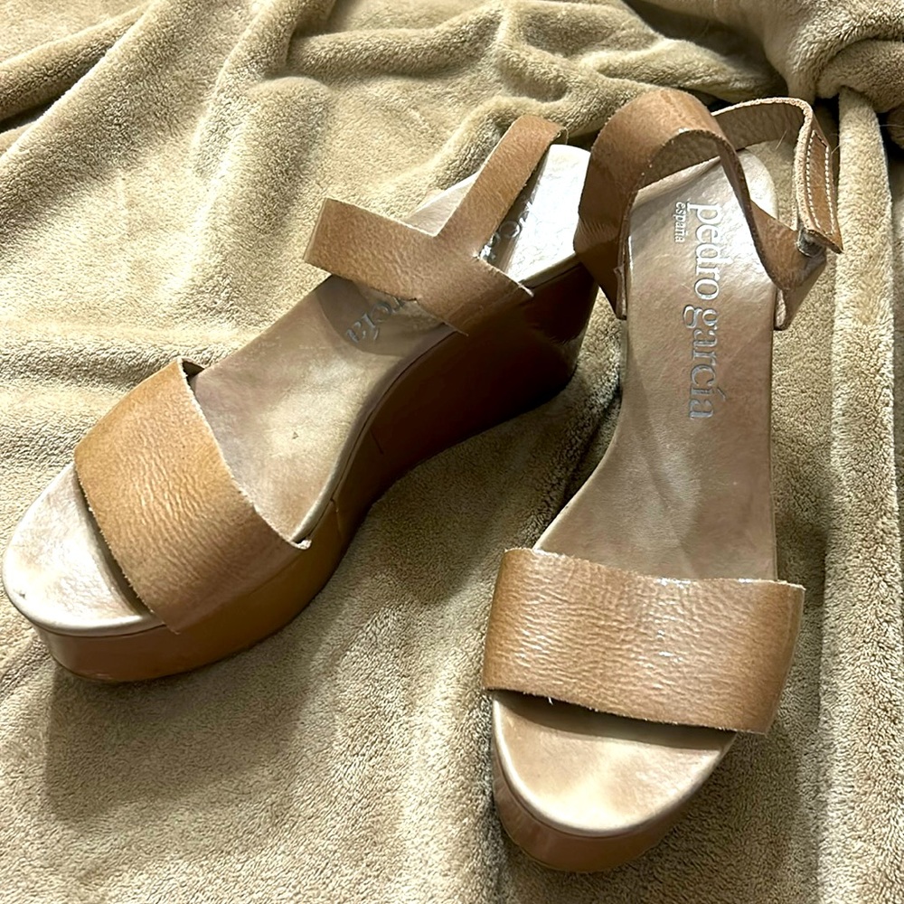 Pedro Garcia wedges